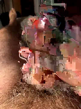 Snapshot of francoers chatting on October 16, 11:17 pm francoers online show from October 16, 11:17 pm