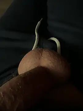 Snapshot of rambetto21 chatting on December 17, 7:53 pm rambetto21 online show from December 17, 7:53 pm