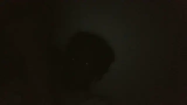 ThatDickSexy2 online show from September 15, 5:18 am