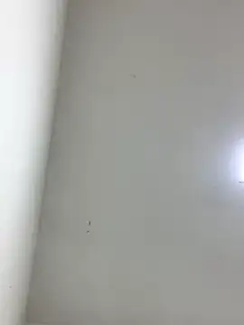 LinnaGardenia online show from October 1, 5:41 pm