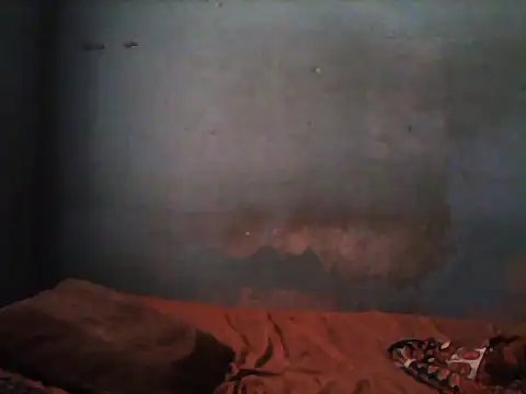 little  joy online show from November 5, 1:44 pm