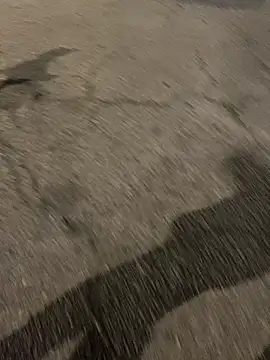 Snapshot of ToAnWTW chatting on February 24, 9:57 pm ToAnWTW online show from February 24, 9:57 pm