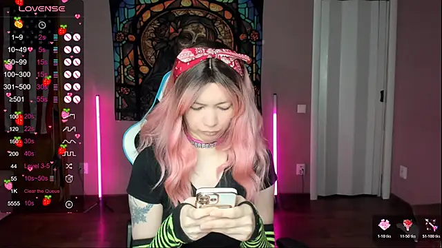 Snapshot of Project_hisoka chatting on January 15, 4:06 am Project hisoka online show from January 15, 4:06 am