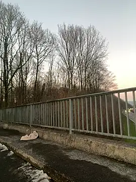 Snapshot of NickyGold_Official chatting on January 18, 4:10 pm NickyGold Official online show from January 18, 4:10 pm