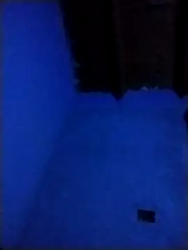 Snapshot of pmalvado912 chatting on March 28, 5:07 am pmalvado912 online show from March 28, 5:07 am