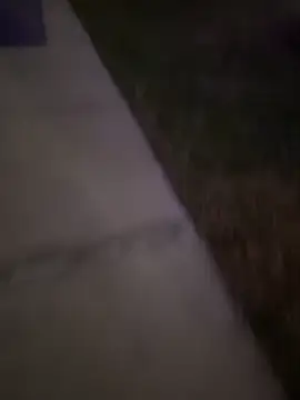 MynameisPaco online show from December 20, 11:23 pm