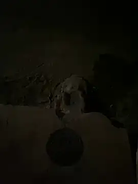 Snapshot of nowex18 chatting on March 14, 5:48 am nowex18 online show from March 14, 5:48 am