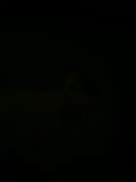 Snapshot of nowex18 chatting on March 18, 5:41 am nowex18 online show from March 18, 5:41 am