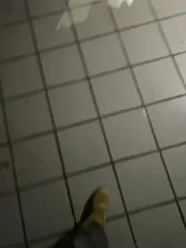 Snapshot of nowex18 chatting on February 20, 4:53 am nowex18 online show from February 20, 4:53 am