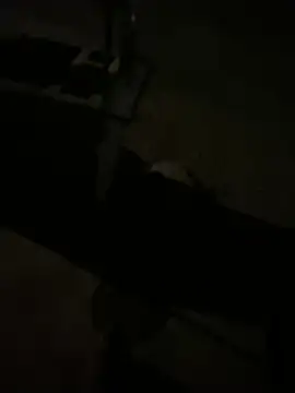 Snapshot of nowex18 chatting on March 11, 6:41 am nowex18 online show from March 11, 6:41 am