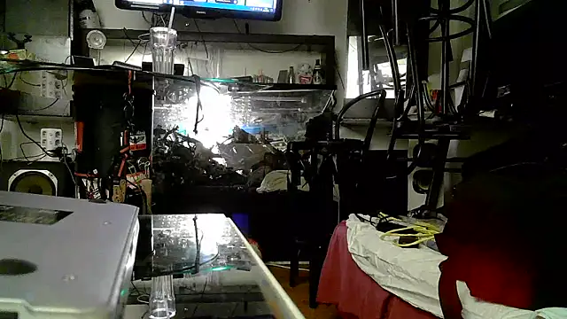 0815lukas2024 online show from November 3, 5:03 pm