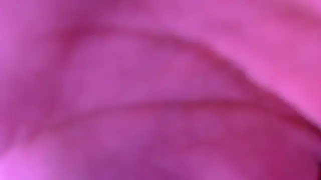 Snapshot of xxxxxchiaratsxxxxx chatting on March 8, 2:04 am xxxxxchiaratsxxxxx online show from March 8, 2:04 am