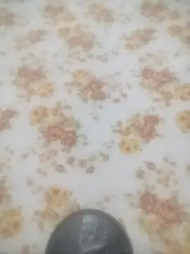 Working- online show from January 19, 12:09 pm