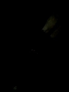 Tamil boy age28 online show from February 20, 6:46 pm