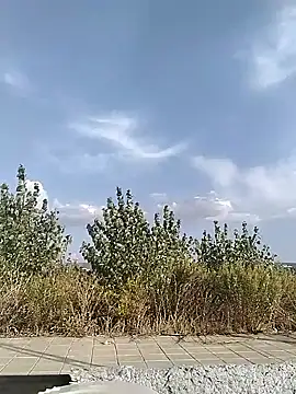 cuplubijoanna online show from September 20, 4:52 pm