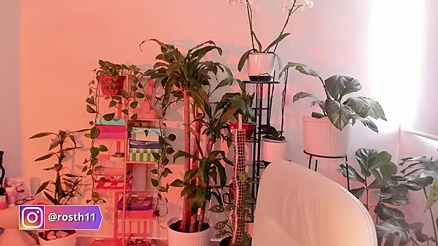 Snapshot of rossth1 chatting on October 24, 7:43 pm rossth1 online show from October 24, 7:43 pm