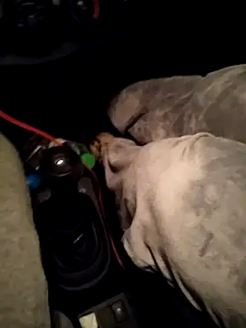 A man in public online show from April 10, 10:47 pm