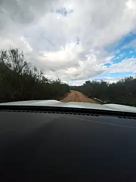 Jxx-55 online show from April 14, 3:51 pm