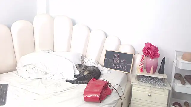 Snapshot of VioletXia_ chatting on February 14, 6:21 am VioletXia online show from February 14, 6:21 am