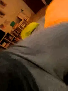 onbifeet online show from October 9, 6:17 pm