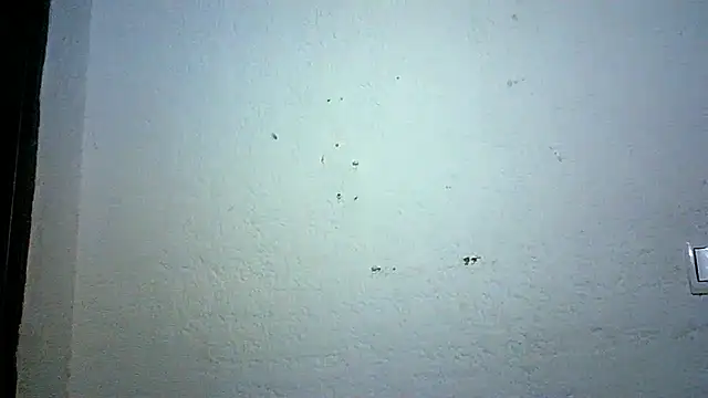 Snapshot of Bellabeltrann chatting on October 3, 9:12 pm Bellabeltrann online show from October 3, 9:12 pm