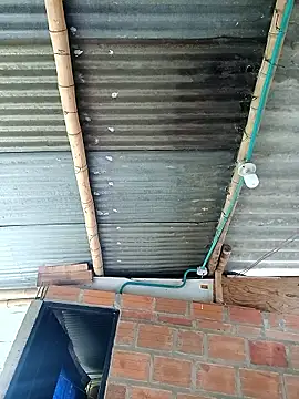 Snapshot of Janle_19c chatting on December 6, 5:00 pm Janle 19c online show from December 6, 5:00 pm