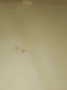 hot marie22 online show from April 2, 2:09 am