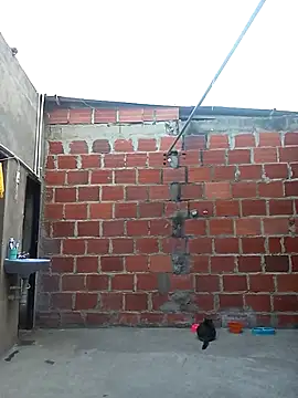 ariana d20 online show from March 11, 10:53 pm