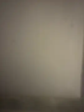 orient zob online show from January 7, 2:47 am