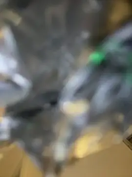 orient zob online show from January 9, 12:57 am