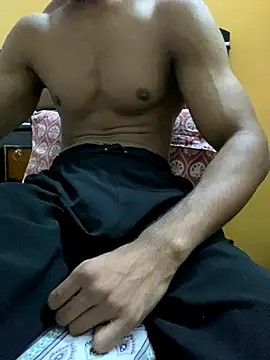 Wild beast online show from November 25, 9:42 am