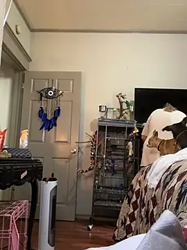 Snapshot of lezbean24 chatting on March 11, 5:41 pm lezbean24 online show from March 11, 5:41 pm