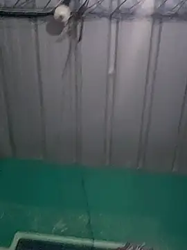 Snapshot of Cris29_84 chatting on February 24, 8:23 am Cris29 84 online show from February 24, 8:23 am