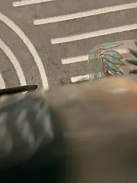 dimitriei online show from November 15, 6:22 am