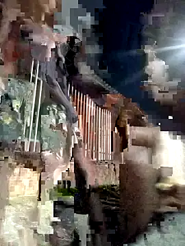 Gutierrez6383 online show from April 21, 4:52 am