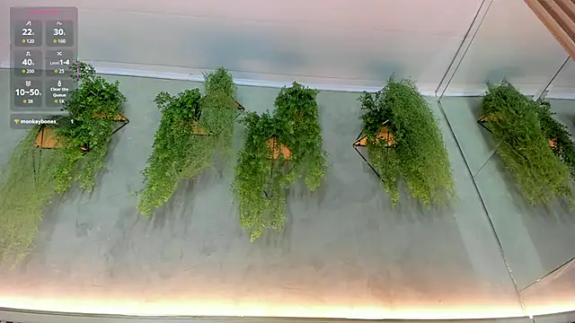 Snapshot of Lana_Lann chatting on September 22, 11:56 am Lana Lann online show from September 22, 11:56 am