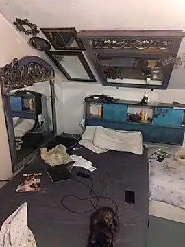 ditchwater online show from October 28, 11:47 am