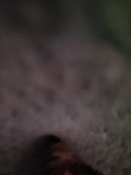 Casablancabig online show from March 18, 12:27 am