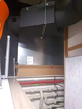 andrejoyfull64 online show from December 20, 1:00 pm