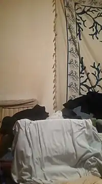 felice66 online show from December 11, 4:18 am