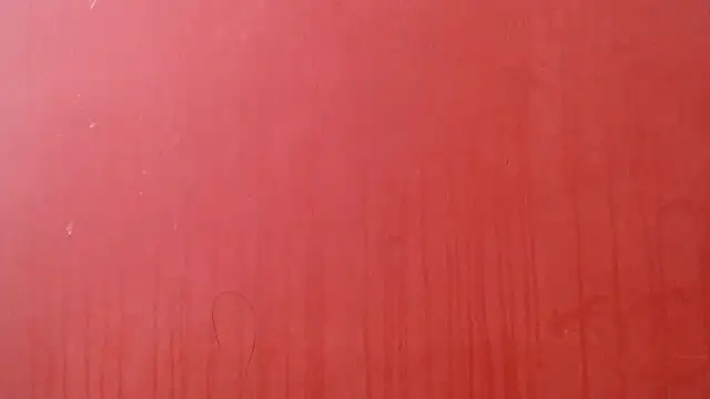 Freyja eter online show from January 7, 7:38 pm