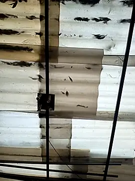 weedmanhot28 online show from September 21, 12:07 pm