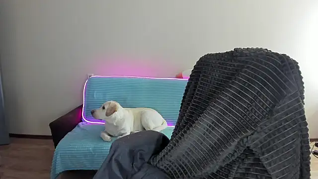 Liam sexy1 online show from December 20, 8:06 am