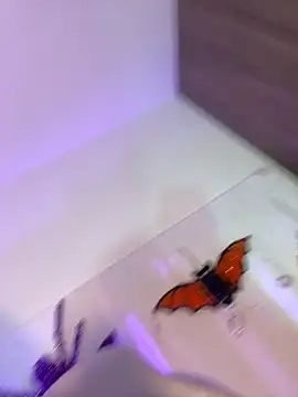 Snapshot of mikuru_hara chatting on October 5, 2:10 am mikuru hara online show from October 5, 2:10 am