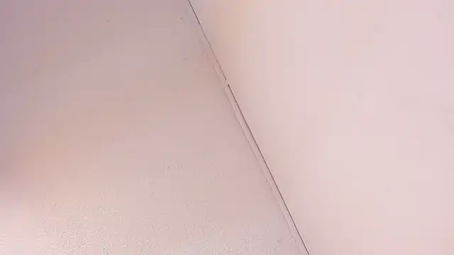 Black Rose2 online show from March 1, 11:45 am