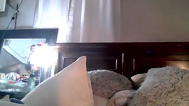 Snapshot of paiday chatting on December 4, 12:08 am paiday online show from December 4, 12:08 am