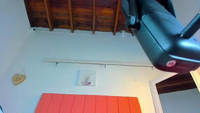 valen rose0 online show from November 2, 12:07 pm