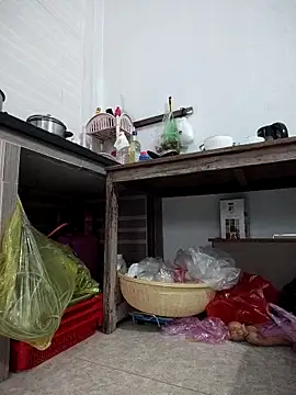 Snapshot of Haralushiaaa chatting on November 1, 5:53 am Haralushiaaa online show from November 1, 5:53 am