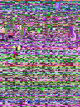 beauty alina online show from March 16, 9:19 pm