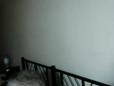 100Tauros online show from November 2, 3:25 pm